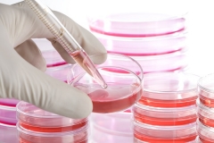 آزمون‌ های برون‌ تن in vitro بررسی سمیت نانومواد