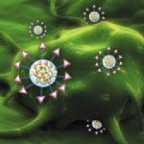 دارورسانی به سرطان بر مبنای نانو2- انواع نانوذرات مورد استفاده
