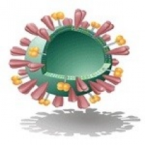 ویروزوم ‌ها Virosomes-سیستم ‌های حامل آنتی ژن و DNA