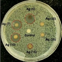 نانوماده های برپایه نقره ضدمیکروبی