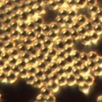 نورگرما درمانی با نانوساختار‌های طلا