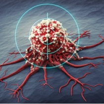 کارگاه آموزشی آنلاین شیمی‌درمانی هدفمند به سلول های سرطانی