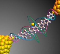 اتصالات مولکولی 3 - ساختار الکترونی و انتقال بار در اتصالات مولکولی آلی