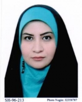 نانوتماشا، با همکاری نهاد ترویجی دانشگاه شیراز